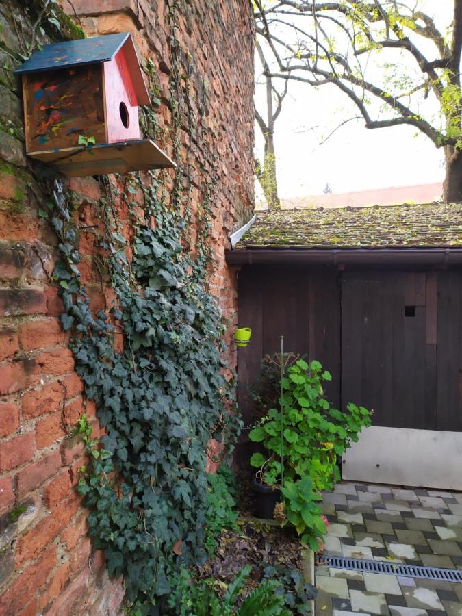 Tiny Cozy Accommodation Zagreb Exterior photo